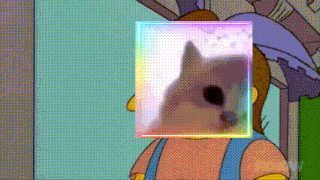 Ha Haha GIF