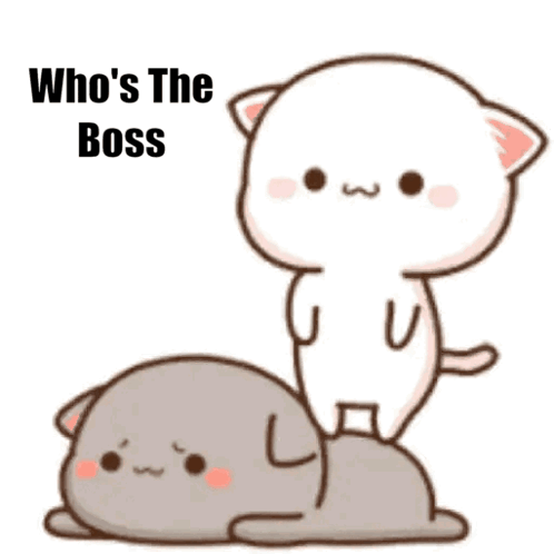 Habiba And Salim Who'S The Boss GIF