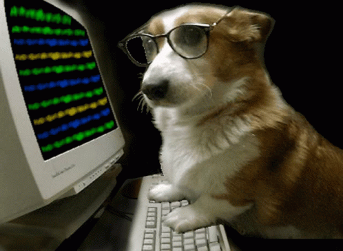 Hacker Pupper Dog GIF. This 498 x 364 animated GIF is part of our im in hacker collection. Related themes include computer, hacker. Created by JARS1st. View…