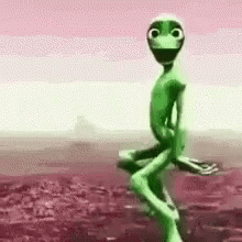 Hadasa GIF