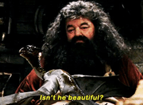 Hagrid Beautiful GIF. This 480 x 352 animated GIF is part of our hagrid collection. Related themes include beautiful. Created by esmyllyaho. View the…
