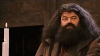 Hagrid Harry GIF. This 320 x 178 animated GIF is part of our hagrid collection. Created by ShelbyCarter1. View the original animation, share it, or browse…