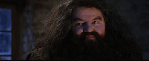Hagrid Harry Potter GIF. This 498 x 205 animated GIF is part of our hagrid collection. Related themes include harry potter. Created by karthi1375. View the…