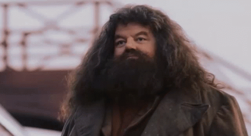 Hagrid Harry Potter GIF. This 498 x 270 animated GIF is part of our hagrid collection. Related themes include harry potter. Created by angelicfeels. View…