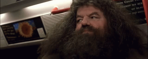 Hagrid Harry Potter GIF. This 498 x 199 animated GIF is part of our hagrid collection. Related themes include harry potter. Created by karthi1375. View the…
