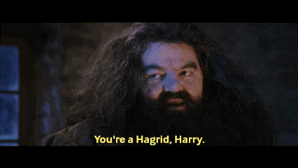 Hagrid Harry Potter GIF. This 426 x 240 animated GIF is part of our hagrid collection. Related themes include harry potter. Created by tomza96. View the…
