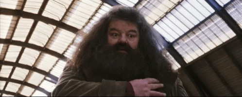 Hagrid Harry Potter GIF. This 498 x 199 animated GIF is part of our hagrid collection. Related themes include harry potter. Created by karthi1375. View the…