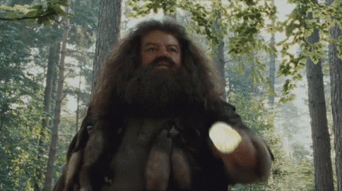 Hagrid GIF. This 498 x 278 animated GIF is part of our hagrid collection. Created by shadowdan. View the original animation, share it, or browse related GIFs.