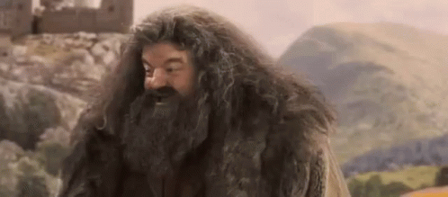 Hagrid Yay GIF. This 498 x 219 animated GIF is part of our hagrid collection. Related themes include excited, harry potter. View the original animation…