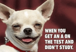 Hahaha Meme