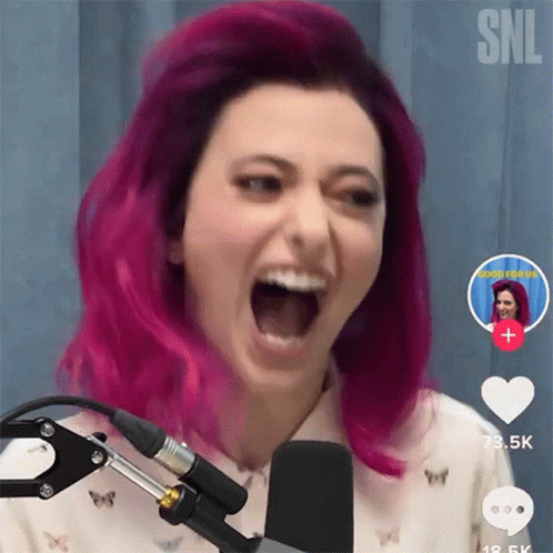 Hahaha Saturday Night Live GIF