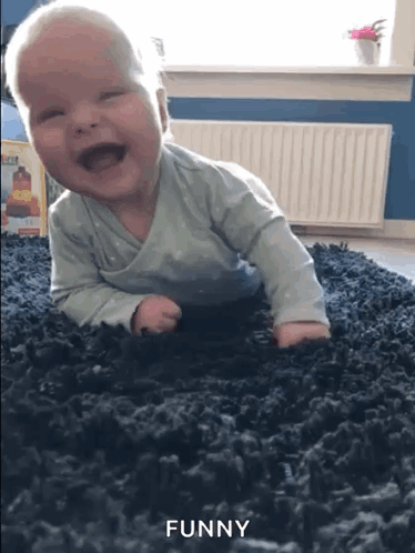 Hahahaha Laughing GIF