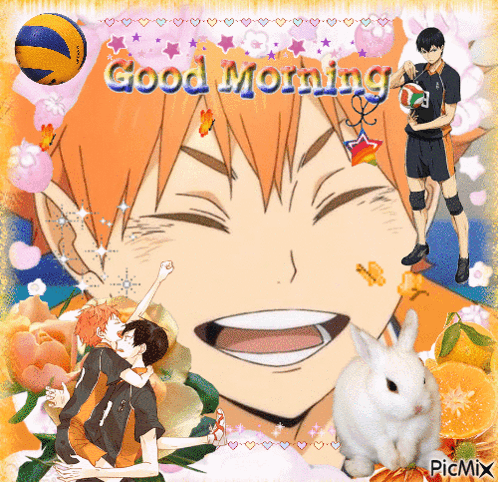 Haik Hinata Shoyo GIF