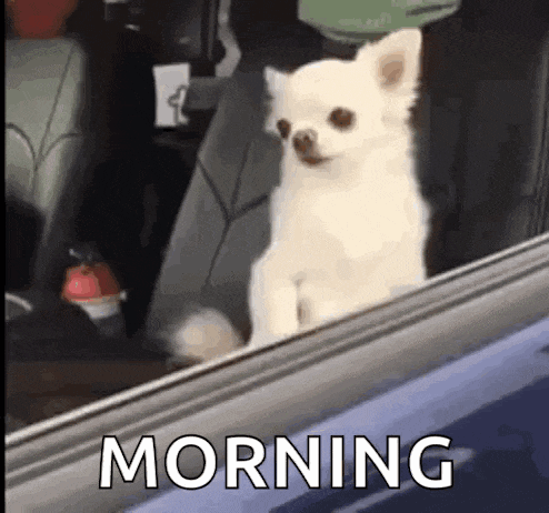 Haim Haimbs3 GIF