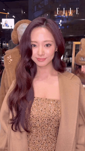 Haishatp Mitantp GIF