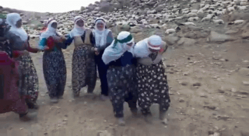 Halay GIF