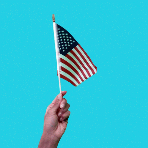 Halive2022 American Flag GIF
