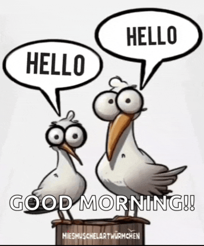 Hallo Moin Meme