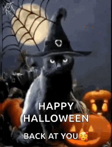 Halloween Blackcats GIF