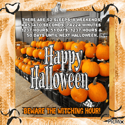 Halloween Halloween Countdown GIF