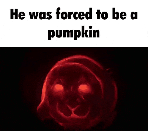 Halloween Halloween Meme GIF