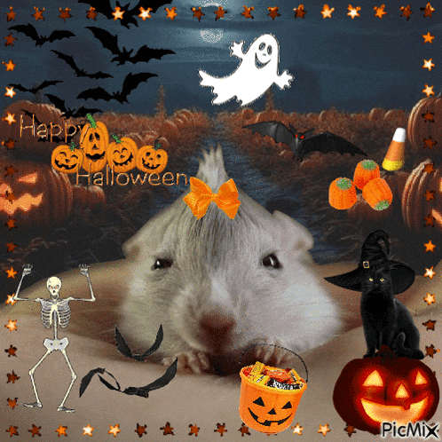 Halloween Spooky GIF