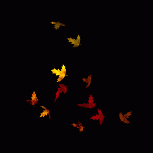 Halloween Wallpaper GIF. This 498 x 498 animated GIF is part of our sai baba animated wallpaper for desktop collection. Related themes include halloween…