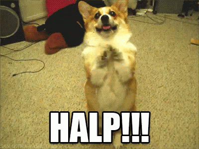 Halp GIF