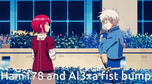 Ham178 Al3xa GIF