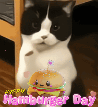 Hamburger Day Happy Hamburger Day GIF
