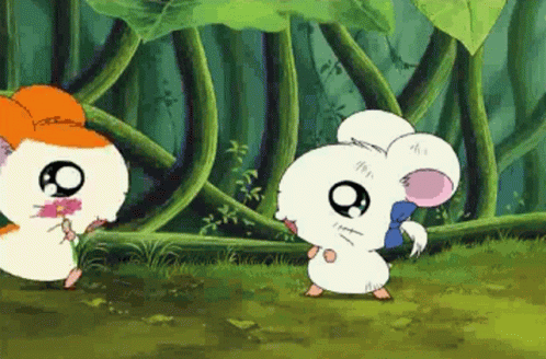 Hamster Hamtaro GIF