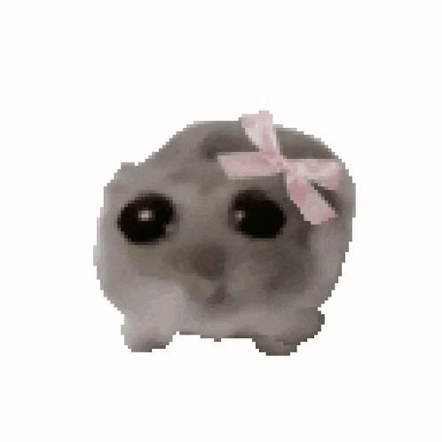 Hamster Meme GIF