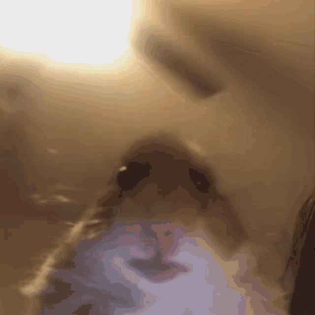 Hamster Meme GIF