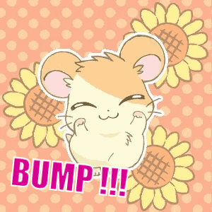 Hamster GIF