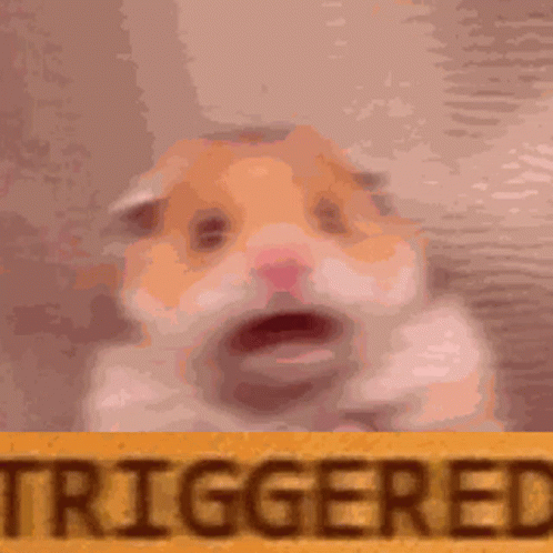 Hamster Triggered GIF. This 498 x 498 animated GIF is part of our triggered collection. Related themes include rage. Created by xMia_And_Leahx. View the…