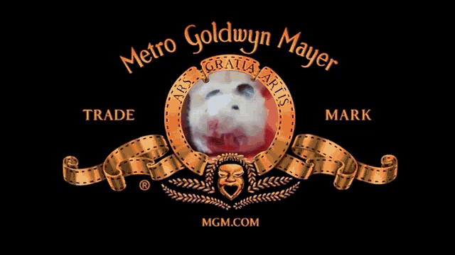 Hamster Yawn GIF