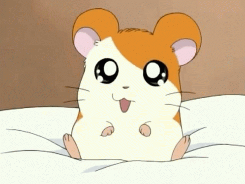 Hamtaro Cute GIF