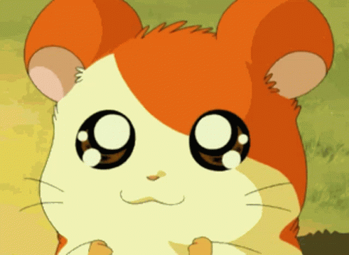 Hamtaro Hamster GIF
