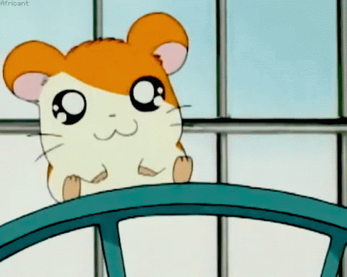 Hamtaro Hamster GIF