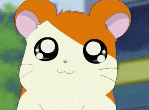 Hamtaro GIF