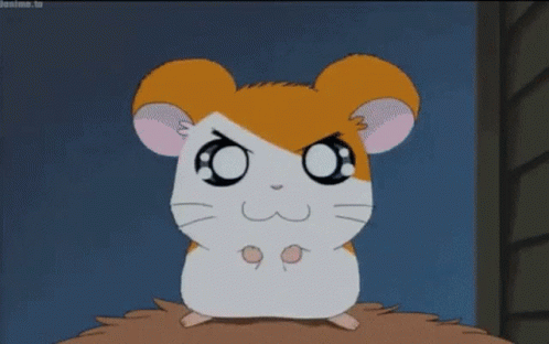 Hamtaro GIF