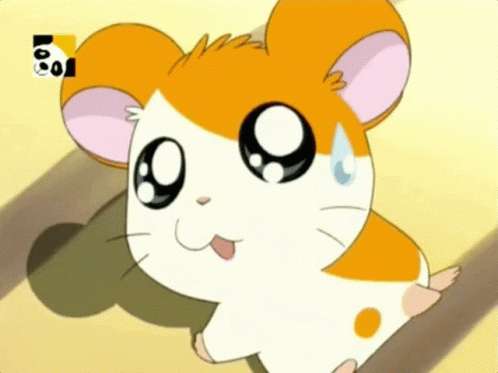 Hamtaro GIF