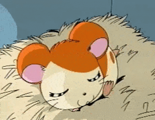 Hamtaro Waking Up GIF