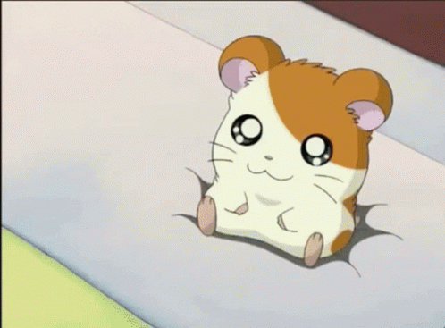 Hamtaro GIF