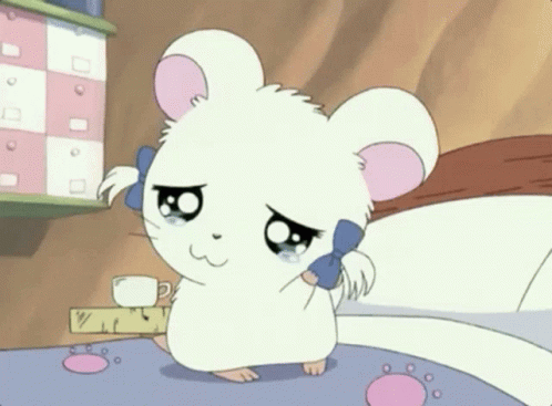 Hamtaro GIF