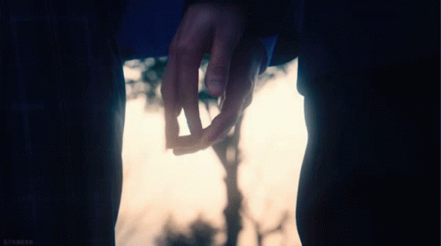 Hand Holding GIF