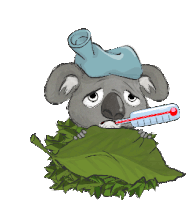 Hangouts Koala Sticker
