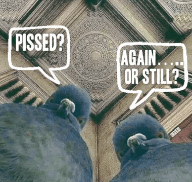 Hangover Hungover Meme