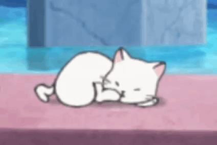Hanpen Cat GIF