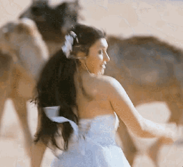 Hansika Motwani GIF